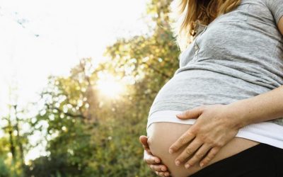 Cambio de rumbo: Las prestaciones por maternidad están exentas.